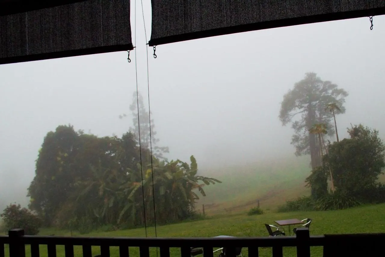 Falls Teahouse Millaa Millaa 0*,  Australia